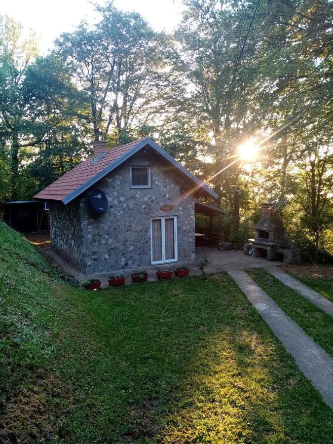 阿然德洛维克Planinska Kuca Steki Bukulja别墅 外观 照片